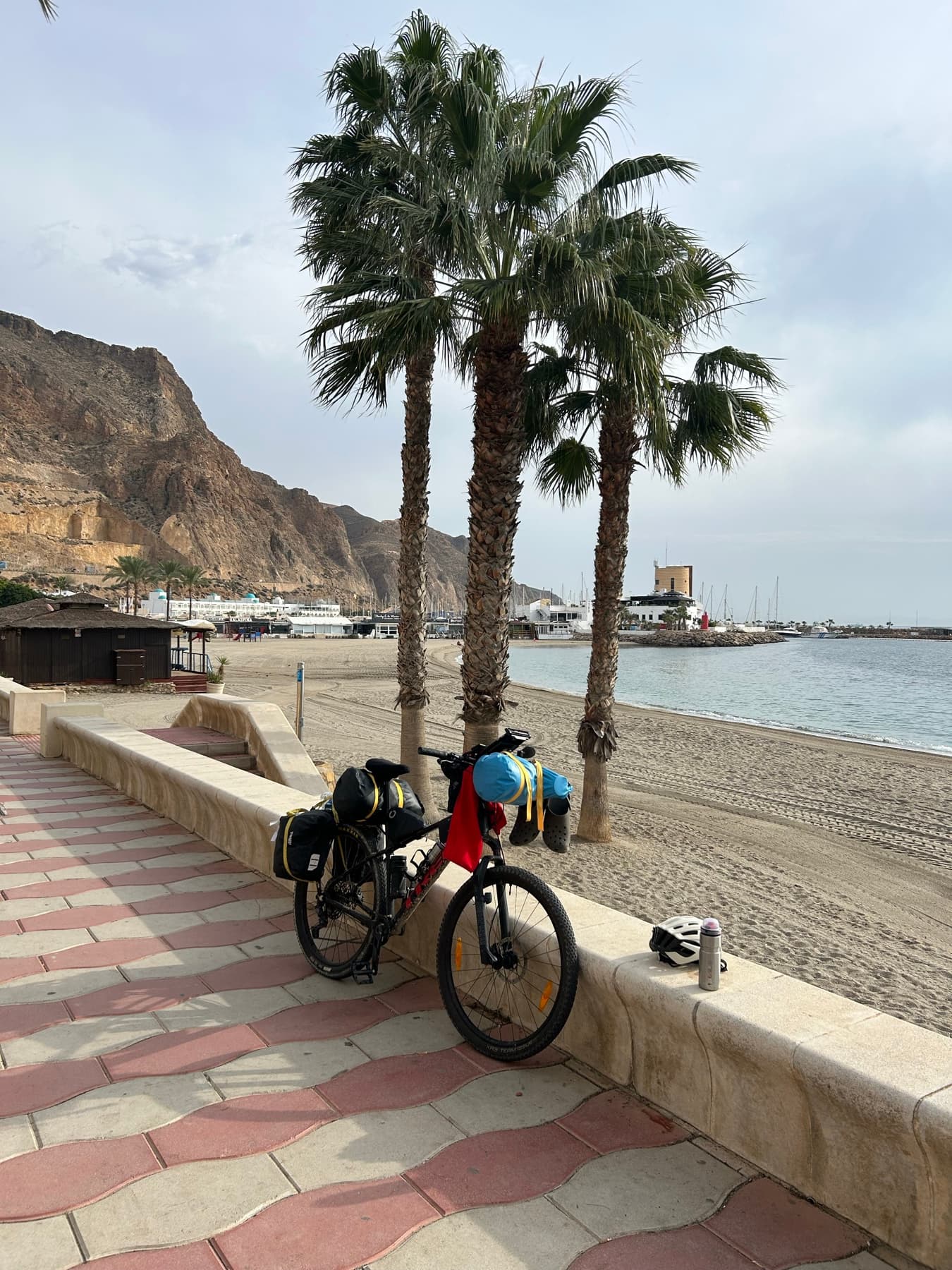 Bicicleta cargada junto a una playa con palmeras