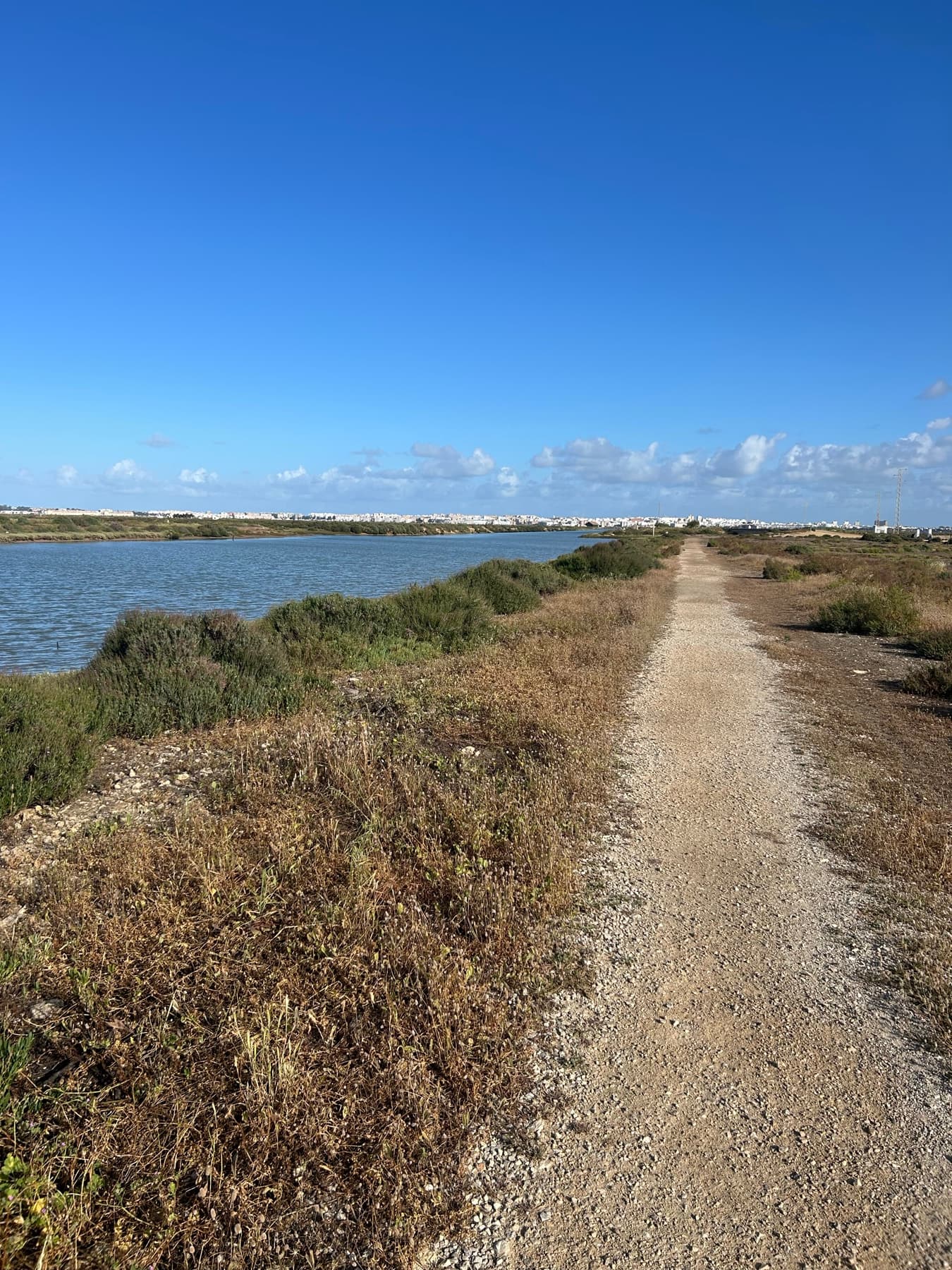 Camino de tierra entre marismas