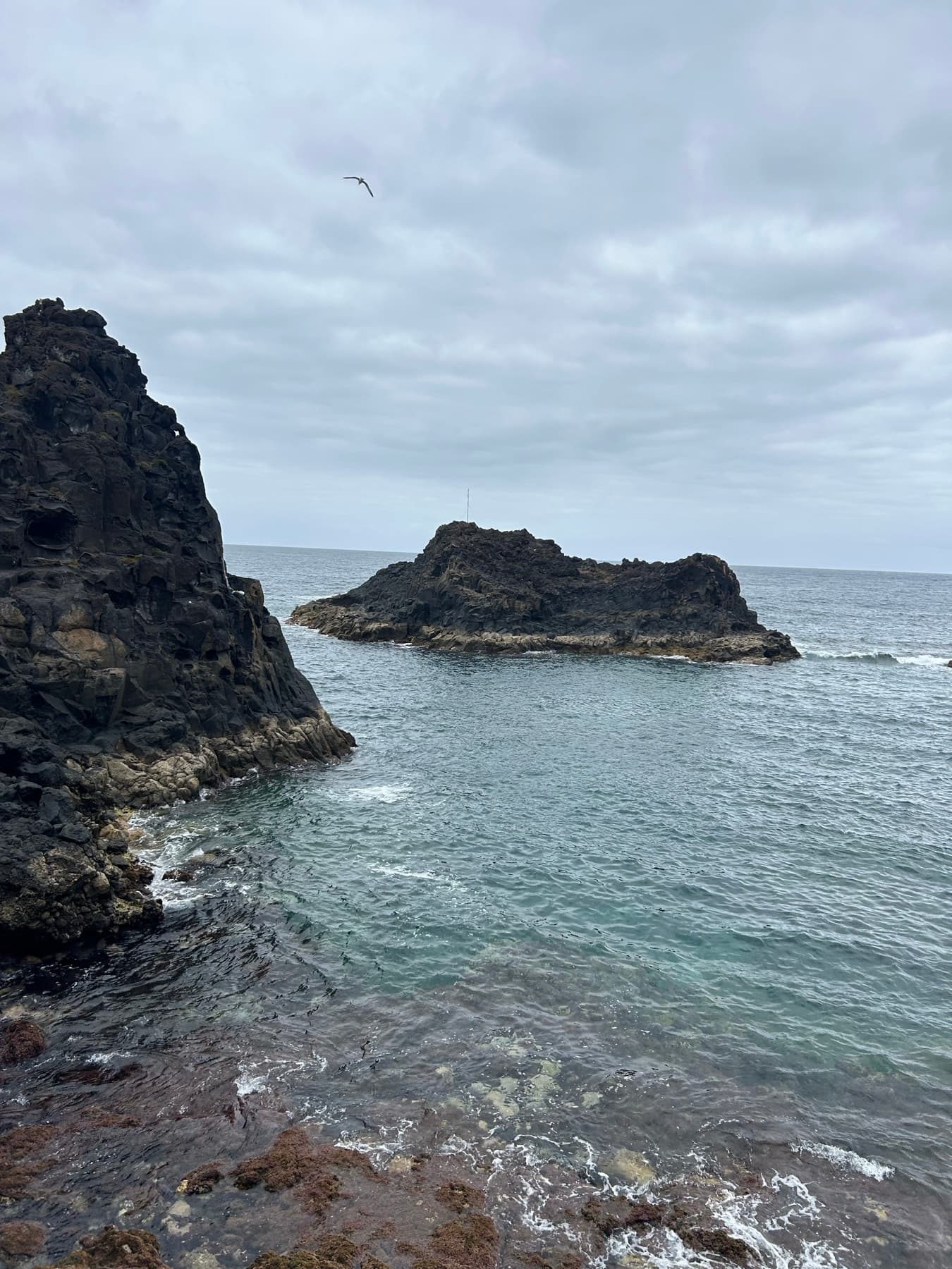 Costa de roca negra con casas al fondo