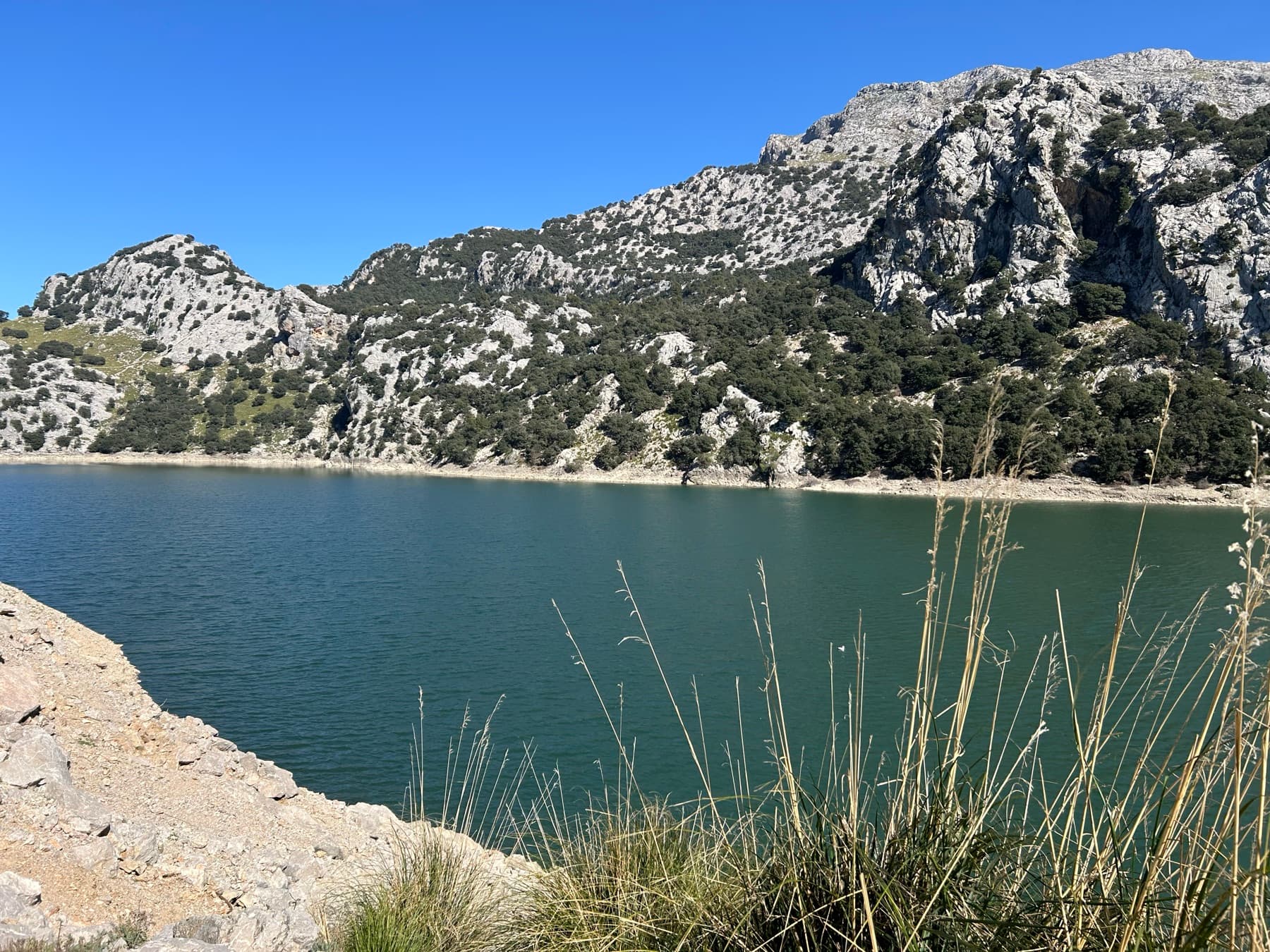 Cala de Mallorca vista desde una sierra rocosa