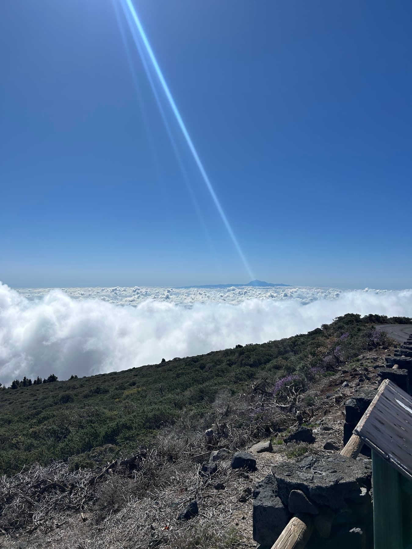 Mar de nubes sobre una ladera canaria
