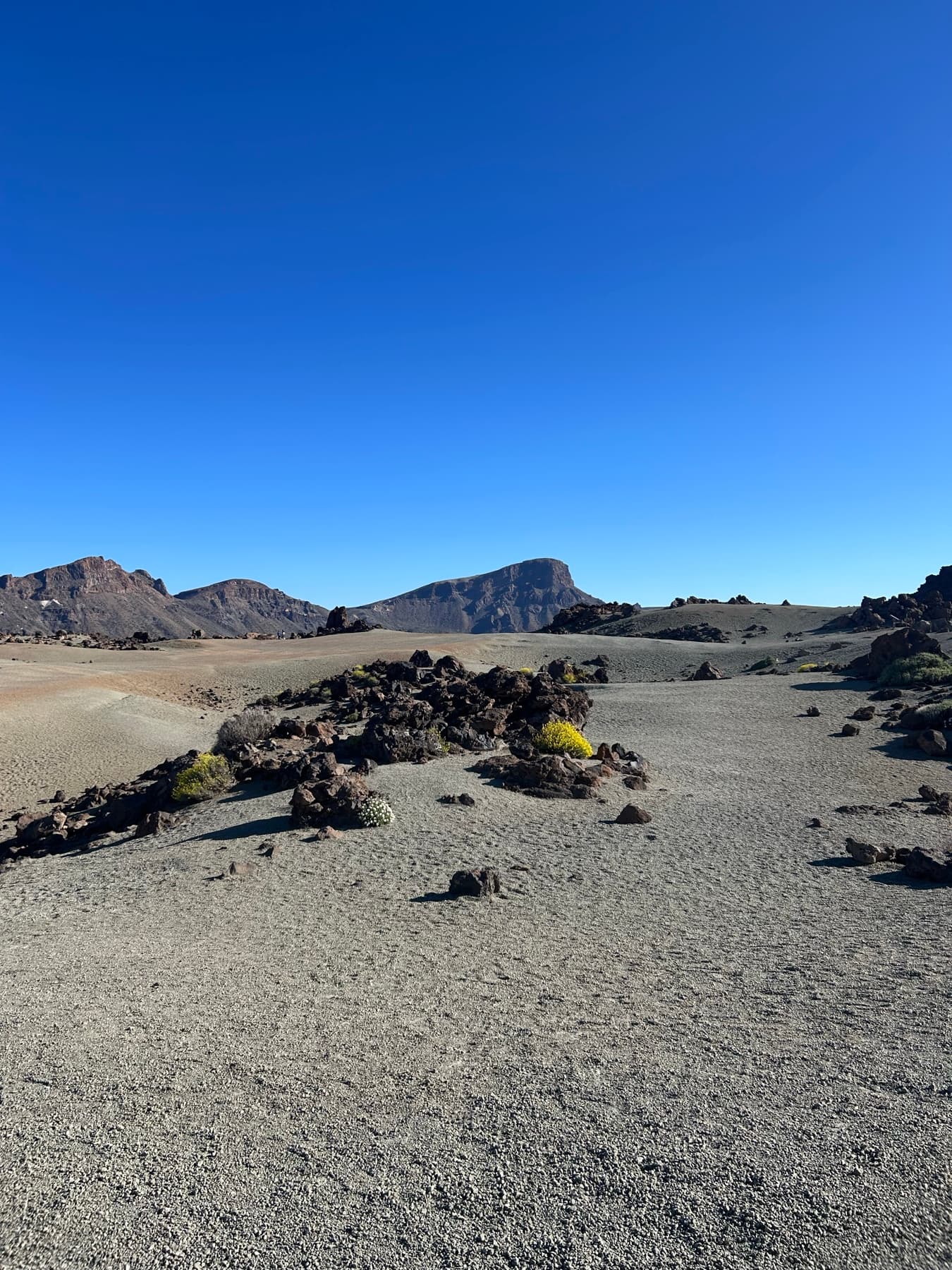 Paisaje volcánico abierto con cielo azul