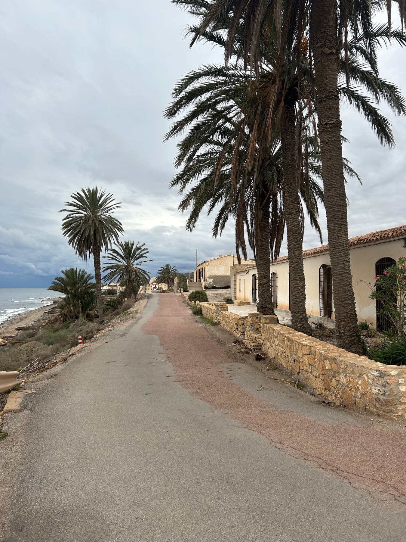 Paseo junto al mar bordeado de palmeras