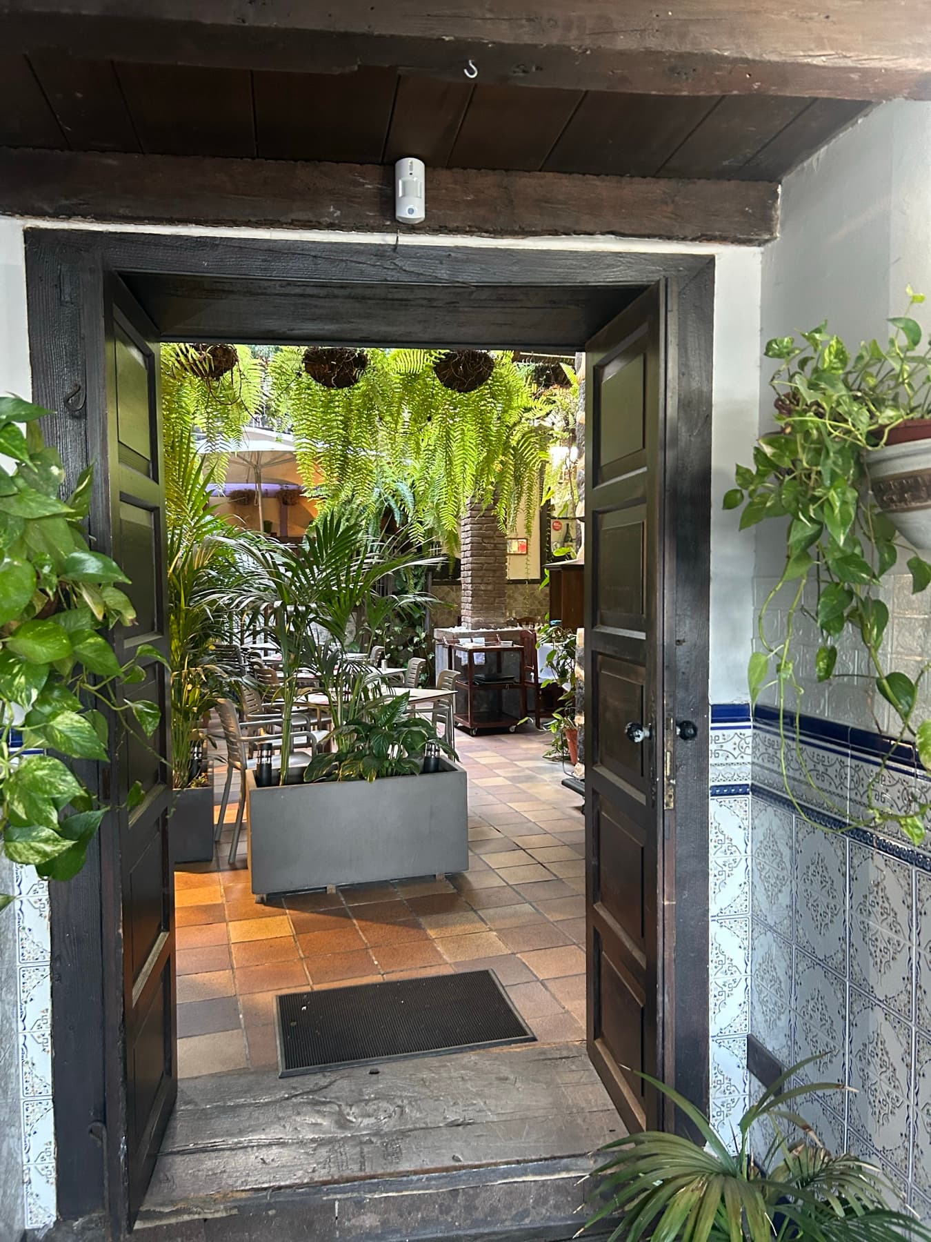 Patio interior lleno de plantas
